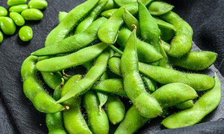 Camilan Sehat! Edamame Mengandung 18,4 Gr Protein 155 Gr