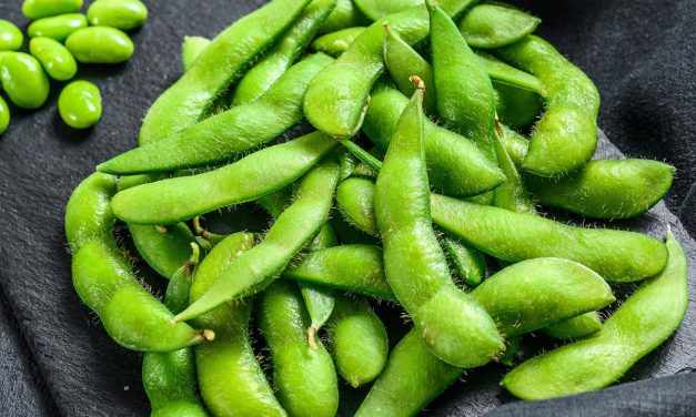 Camilan Sehat! Edamame Mengandung 18,4 Gr Protein 155 Gr