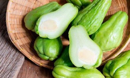 Rendah Kalori! Labu Siam Ampuh Bantu Turunkan Berat Badan